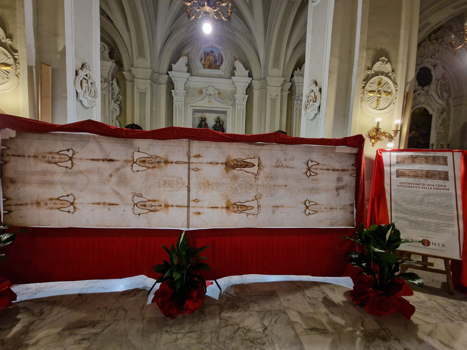 Immagine 1